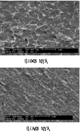 Fig. 6 SEM photos (x 10000)(a) 1.0% CNT