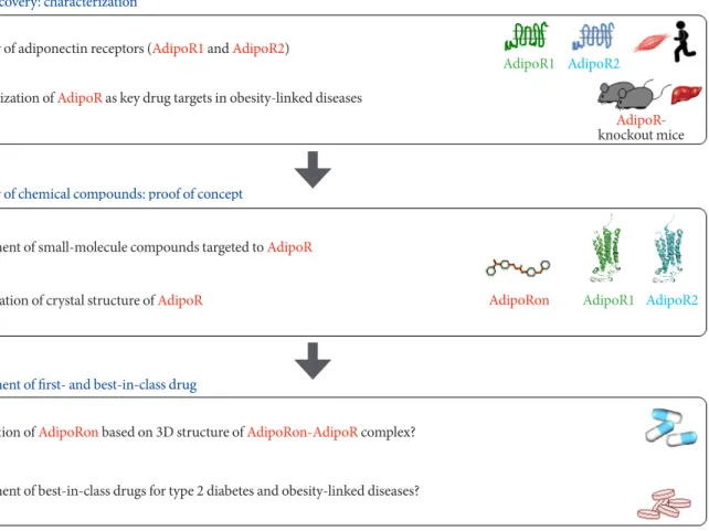 Fig. 3. Strategy for development of first- and best-in-class adiponectin receptor (AdipoR) agonists in the treatment of obesity-re- obesity-re-lated diseases such as type 2 diabetes