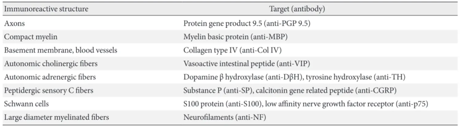 Table 1. Target and its antibody of immunoreactive skin structures 