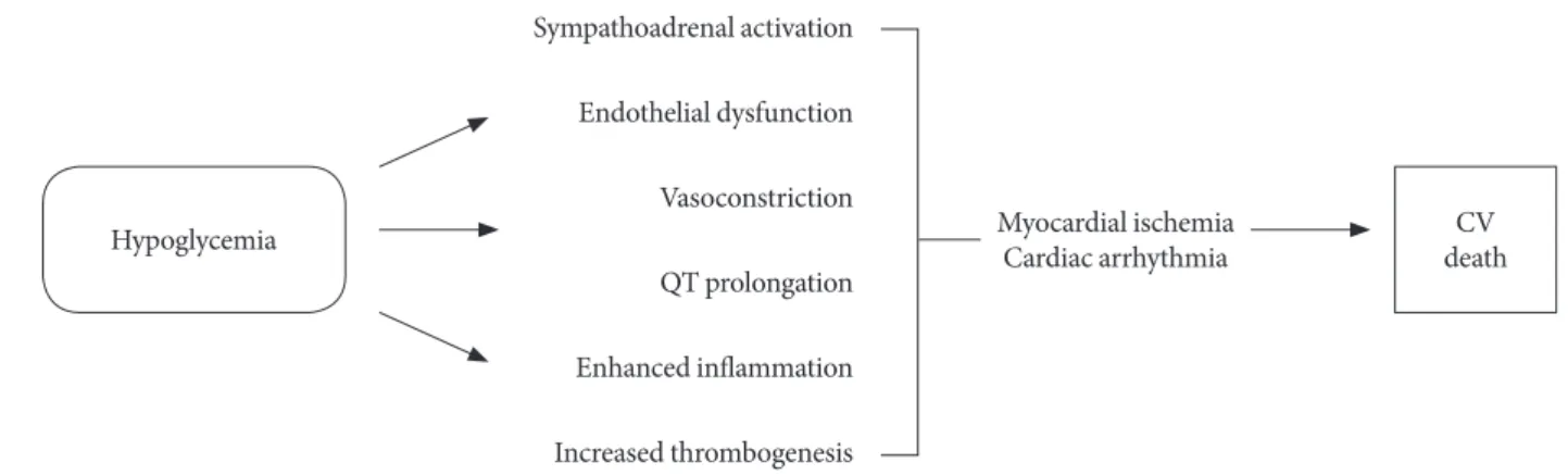 Fig. 1. Potential mechanisms linking hypoglycemia with adverse cardiovascular events and death