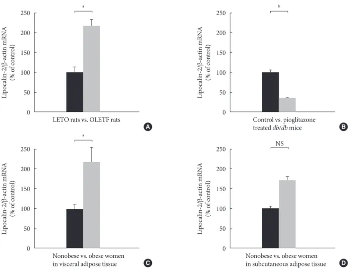 Fig. 2. Expression of lipocalin-2 in adipose tissue from independent rodent and human samples