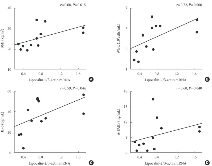 Fig. 3. Spearman correlation coefficient between the level of expression of lipocalin-2 in visceral adipose tissues of humans and  (A) body mass index (BMI), (B) white blood cell (WBC) count, (C) serum interleukin-6 (IL-6), and (D) adipocyte fatty acid  bi