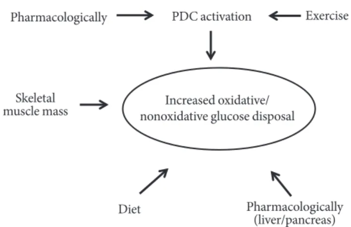 Fig. 10. Ways to improve muscle glucose disposal in type 2 di- di-abetes patients. PDC, pyruvate dehydrogenase complex.