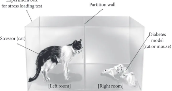 Fig. 1. Stress loading on rats. We exposed rats to a cat in an ex- ex-perimental box to produce mental stress