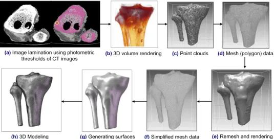Fig. 5 Schematic view of details about 3D reconstruction by CT images in proximal tibia part 결정법에 대해 제시해 줄 것으로 판단된다.
