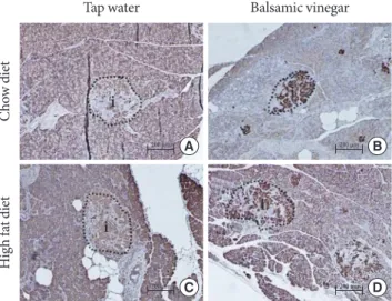 Fig. 4. Immunohistochemical staining of representative pan- pan-creatic islets from water-administered Otsuka Long-Evans  Tokushima Fatty (OLETF) rats and balsamic  vinegar-adminis-tered OLETF rats (×200)