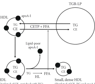 Table 1. Potential protective properties of high density lipo- lipo-proteins