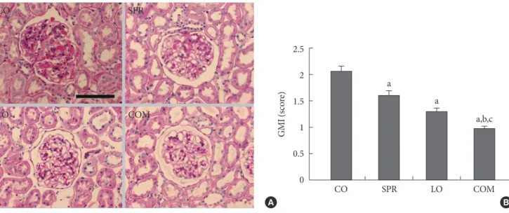 Fig. 2. Analysis of renal vascular endothelial growth factor  (VEGF) expression. (A) Optical densities of  immunohistochemi-cal staining for VEGF