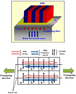 Fig. 1 Structure of the Lorenz type EMAT for generating SH wave   ×                 (4)   ×       ′×         (5) 여기서,   와  ′ 은 각각 초기상태와 초음파에 의한 진동의 도체표면에 대한 법선방향이 되고,   은 표면에 대해 수직방향의 입자속도가 된다