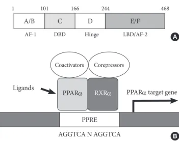 Fig. 1.  Structure and molecular mechanism of action of per- per-oxisome proliferator-activated receptor alpha (PPARα)