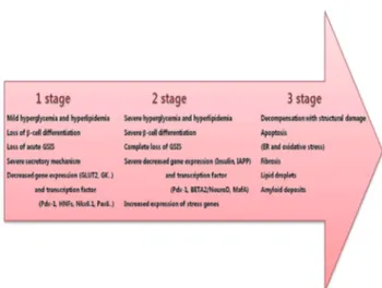 Fig. 2.  Progression from the normal state to severe diabetes. 