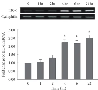 Fig. 3. Cytotoxicity assay of qualifying cell death in INS-1  cells. 5×10 5  cells/well were seeded into a 96-well plate, and  each well was treated with 10 µL of CCk-8 solution (Cell  counting kit-8) for 3 hours at 37°C containing 5% CO 2 