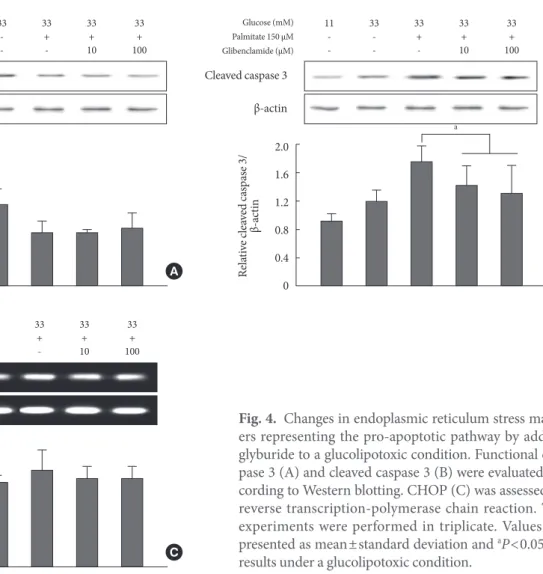 Fig. 4.  Changes in endoplasmic reticulum stress mark- mark-ers representing the pro-apoptotic pathway by adding  glyburide to a glucolipotoxic condition