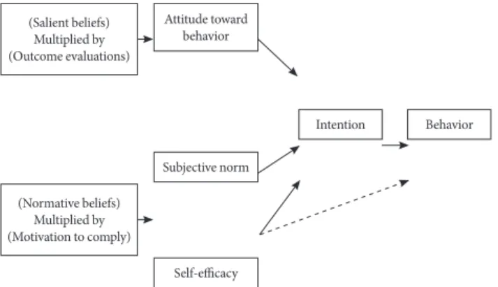 Fig. 1.  The extended theory of reasoned action applied to phys- phys-ical activity behavior.