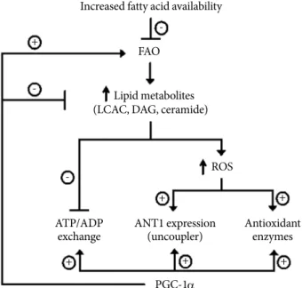 Table 1.  Effect of linoleic acid (LA) and PGC1-α on various functions of endothelial cells Δψ m ROS Apoptosis Antioxidant 