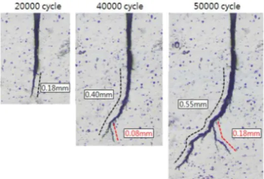 Fig. 5 Example of the crack propagations