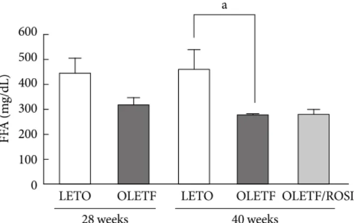 Fig. 1.  Changes in concentration of serological markers in  LETO and OLETF rats. Free fatty acid levels in the sera of  LETO or OLETF rats were measured by colorimetric and  en-zymatic assay at 28 and 40 weeks