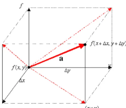 Fig. 2  Directional derivative 