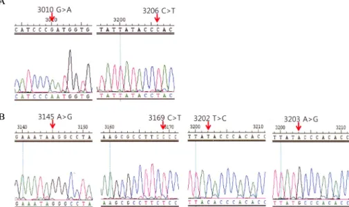 Fig.  2.  Sequence  results  of  PCR  product  amplified  from  target  sequences  contain  SNPs  on  MT-ND1  gene