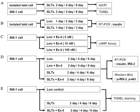 Fig.  1.  Schematic  of  experimental  design.  A.  Apoptosis  measurement  of  isolated  islet  cell  and  INS-1  cell  in  glucolipotoxicity  condition  by  AO/PI  and  TUNEL  staining