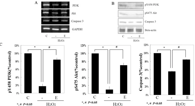 Fig.  3.  EGCG  modulated  cell  signalings  related  to  the  apoptosis.  Total  RNA  was  isolated  from  INS-1  cells  incubated  for  24  h  without  (control;  C)  or  with  hydrogen  peroxide  (H 2 O 2 )  and  in  the  presence  of  EGCG  (E)