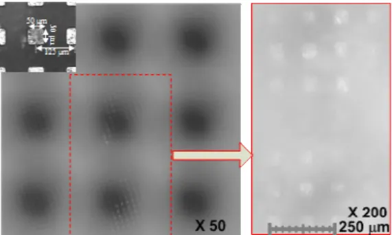 Fig. 10 Formed images on the image plane of the target  specimen through microscopes 