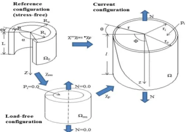 Fig. 2 Arterial ring in the reference configuration (Ω 0 ), the load-free configuration(Ω res ) and current configuration( Ω ) 하면 변형을 위한 식은 다음과 같이 주어진다