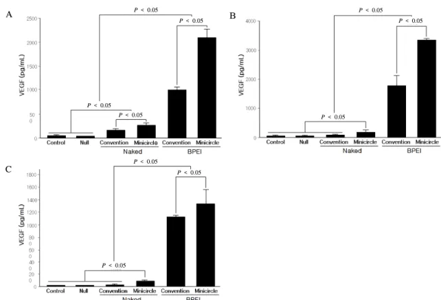 Fig.  4.   VEGF  protein  level  by  ELISA  in  HEK293,  NIH3T3,  and  CHO  cell  line