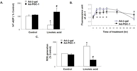 Fig.  4.  Triglyceride  content  and  fatty  acid  oxidation  in  PGC-1  overexpressing  HAECs