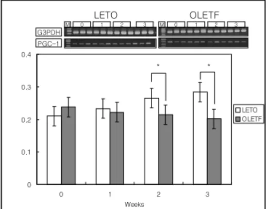 Fig  1.  Effects  of  caloric  restriction  on  the  body  weight  of  LETO  and  OLETF  rats