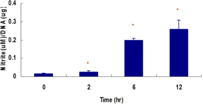Fig.  3.  Changes  of  the  iNOS  and  PDX-1  mRNA  expressions  in  response  to  hypoxic  injury  in  MIN6  cells  (A)