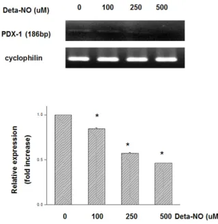 Fig.  5.  Caspase-3  activity  was  significantly  increased  in  response  to  hypoxic  injury  in  MIN6  cells