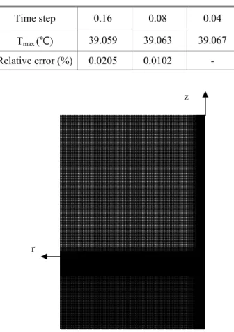Fig. 3 A non-uniform mesh for the computational domain. 