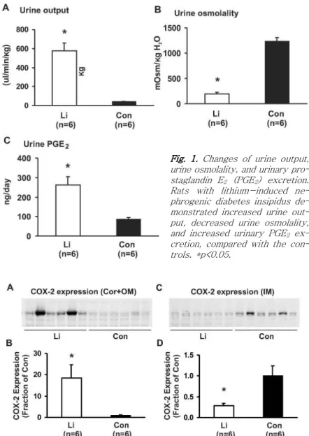 Fig. 1. Changes of urine output, urine osmolality, and urinary  pro-staglandin E 2 (PGE 2 ) excretion.