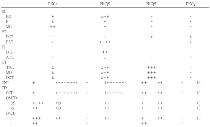 Table 1. Immunoreactivity of Classical Protein Kinase (PKC) Isoforms in Rat Kidney