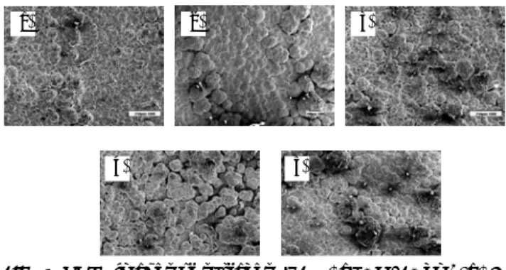 Fig. 6  SEM images of surfaces (x100) at 2 A/12 cm 2 , a) 30  s, b) 35 s, c) 40 s, d) 45 s and e) 50 s at 1A/12cm 2 and 