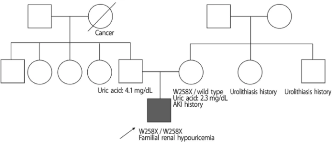 Fig. 2. Abdominal computed tomography (CT) image of the patient.
