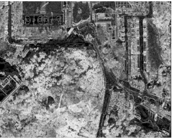Fig. 5. GLCM image