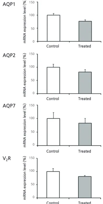 Fig. 4. Quantitative Polymerase Chain Reaction (PCR) from Renal  Cortices  of  Animal  Experiment  II