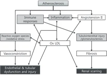 Fig. 1. Mechanisms of Renal Damage Associated with Atherosclerotic  Renal Artery Stenosis