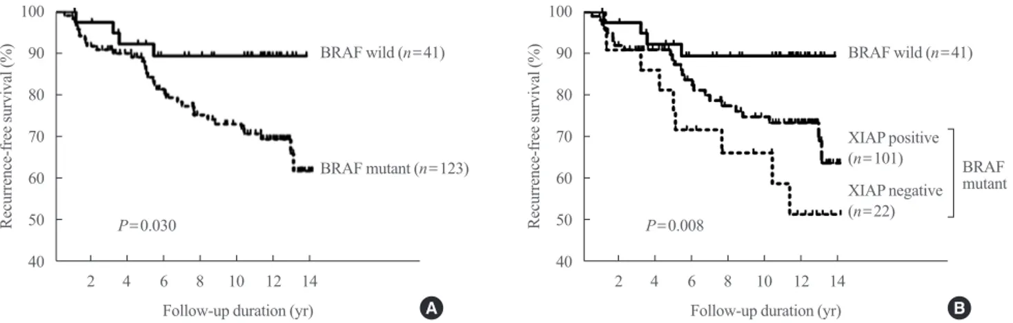 Fig. 2. Recurrence-free survival according to B type Raf kinase (BRAF) V600E mutational status (A) and BRAF V600E mutational status  and X-linked inhibitor of apoptosis protein (XIAP) expression (B) in patients with papillary thyroid carcinoma