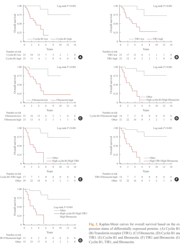 Fig. 2. Kaplan-Meier curves for overall survival based on the ex- ex-pression status of differentially expressed proteins