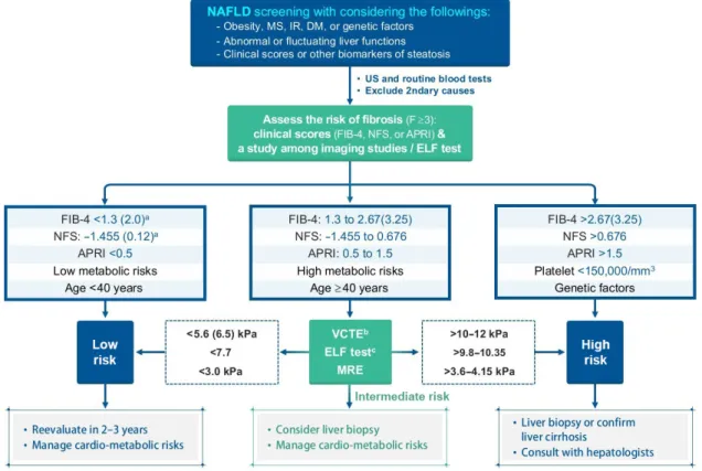 Fig. 4. Algorithm for nonalcoholic fatty liver disease (NAFLD) evaluation. Calculations: NFS=−1.675+0.037×age (yr)+0.094×BMI (kg/
