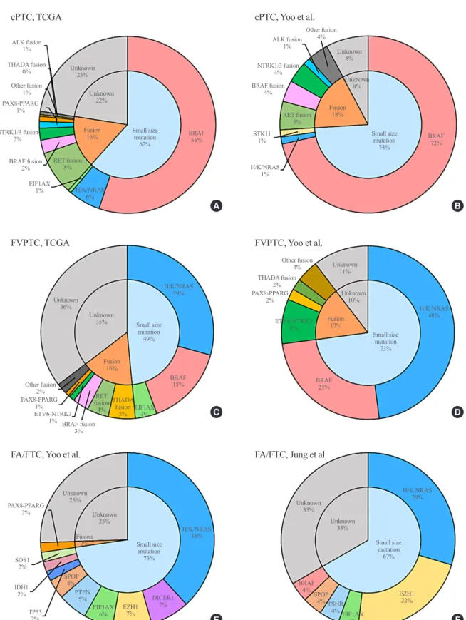 Fig. 1. Frequencies of driver mutations in differentiated thyroid carcinoma. Classical papillary thyroid carcinoma (cPTC) in the studies of  (A) The Cancer Genome Atlas (TCGA) [4] and (B) Yoo et al