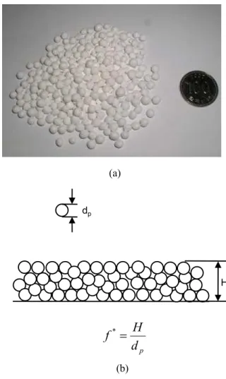 Fig.  3  Drying  Specimen;  (a)  photograph;  (b)  feeding  configuration  나  섬유와  같은  유기물의  건조에  적용할  경우  유 리해진다