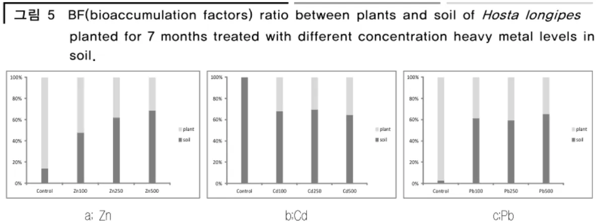 그림 5  BF(bioaccumulation factors) ratio between plants and soil of  Hosta longipes planted for 7 months treated with different concentration heavy metal levels in soil
