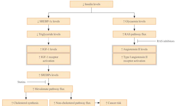 Fig. 2. Hypothetical consequences of insulin deficiency and activation of the renin-angiotensin system (RAS) and insulin-like growth factor  1 (IGF-1) cholesterol pathways