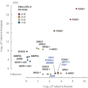Fig. 1. Comparison of associations between Europeans and Kore- Kore-ans. The P values for differentiated thyroid cancer (DTC) between  Koreans (x-axis) and Europeans (y-axis) are plotted with the  corre-sponding Korean effect sizes (odd ratio [OR])