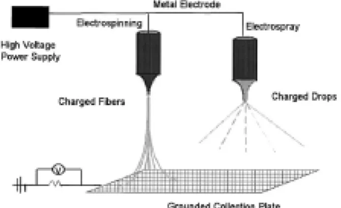 Fig. 2  Schematic diagram of the electrospinning and  electrospray processes (5) 