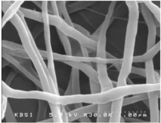 Fig. 4  Scanning electron microscopy micrograph of the  polycarbonate fibers(3 kV/cm, 14 wt%) 